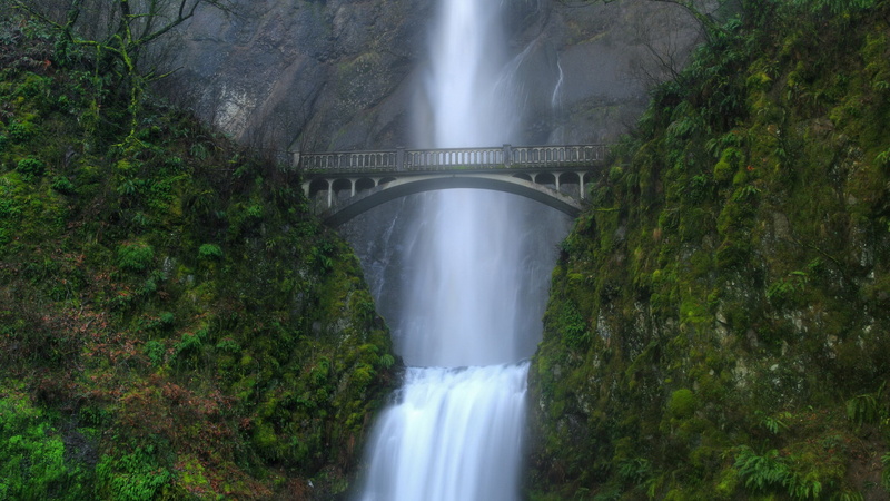 power in nature, motion, nature beauty desktop hd images 2560x1440, beauty in nature, day, flowing water, flowing, outdoors, 2K, no people, nature, tree