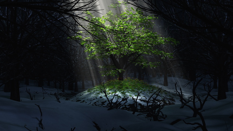 2K, download nature  pack 2560x1440
