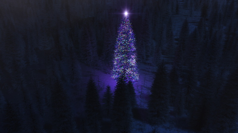 celebration, christmas, nightlife, purple, illuminated, growth, night, 2K, plant, nature, tree, light, christmas tree, dark, forest, land, no people, lighting equipment