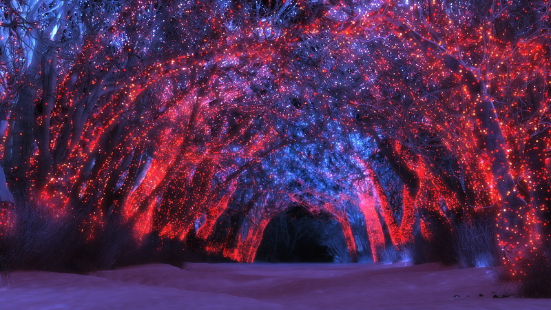 tree, outdoors, illuminated, tranquility, direction, winter, snow, beauty in nature, download nature  pack 2560x1440, scenics - nature, sky, cold temperature