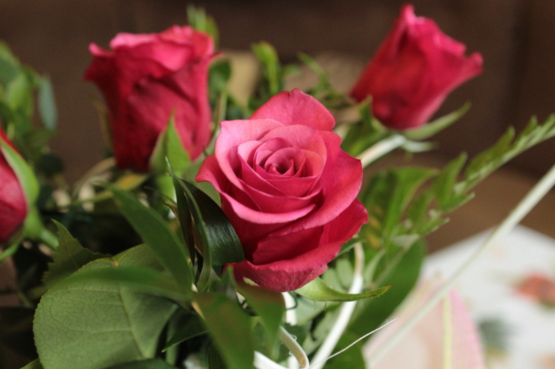 rose, romantic, fragility, leaf, 2K, freshness, valentines day, plant part, rose - flower, vulnerability, plant, beautiful, flower arrangement, no people