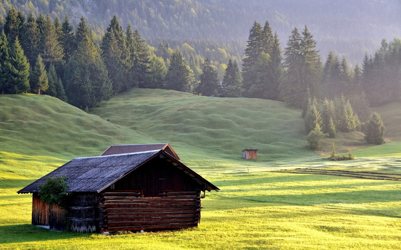 plant, scenics - nature, cottage, built structure, hut, outdoors, tranquil scene, non-urban scene, environment, tranquility, tree, land, 1080P, building exterior