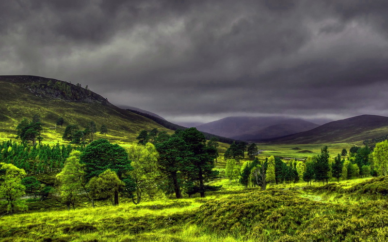 1080P, computer  desktop background hd nature pics 1920x1200