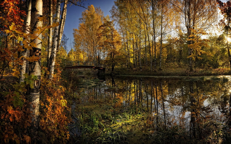 computer desktop backgrounds hd nature 1920x1200, 1080P