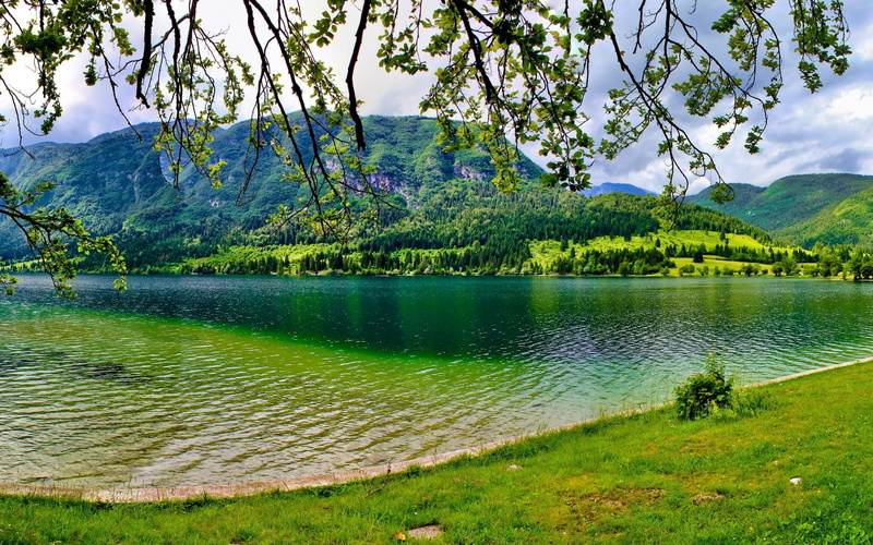 backgrounds for computer nature 1920x1200, 1080P