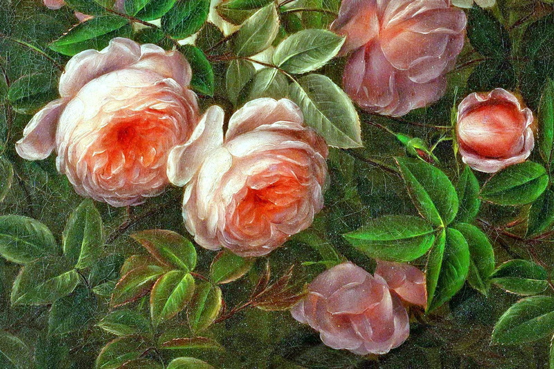 friends, coral, 3d and abstract, blooms, miles, across, green, 1080P, gift, white, flowers