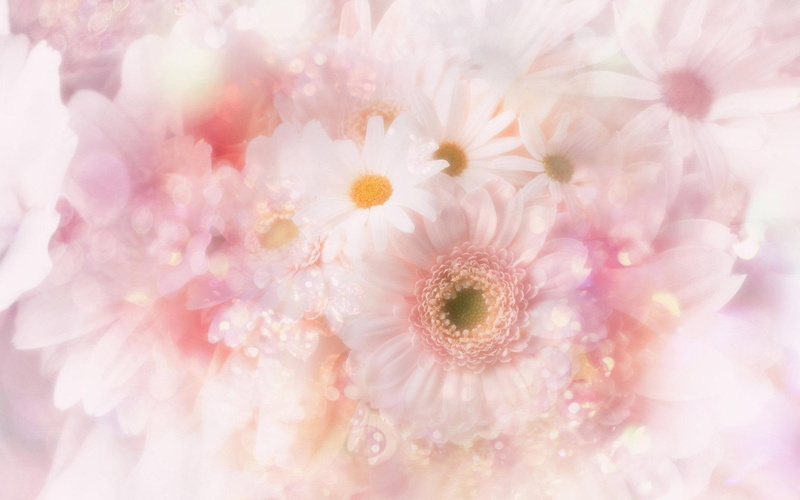 flowers, brightness, bubbles, daisy, 3d and abstract, tenderness, 1080P, beauty, bright