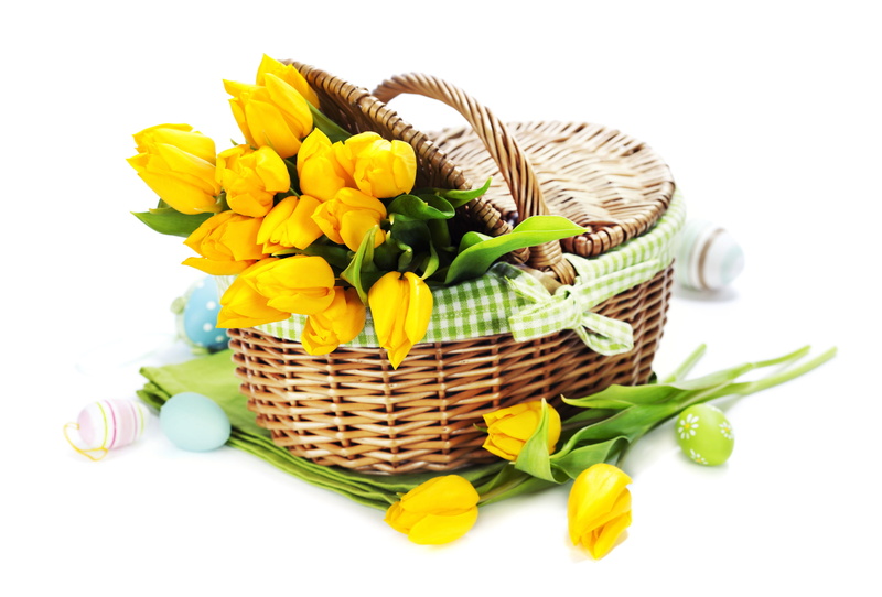 daffodil, tulip, wicker, multi Colored, decoration, food, celebration, freshness, yellow, brown, 2K, bouquet, tulips, studio shot, isolated, green Color