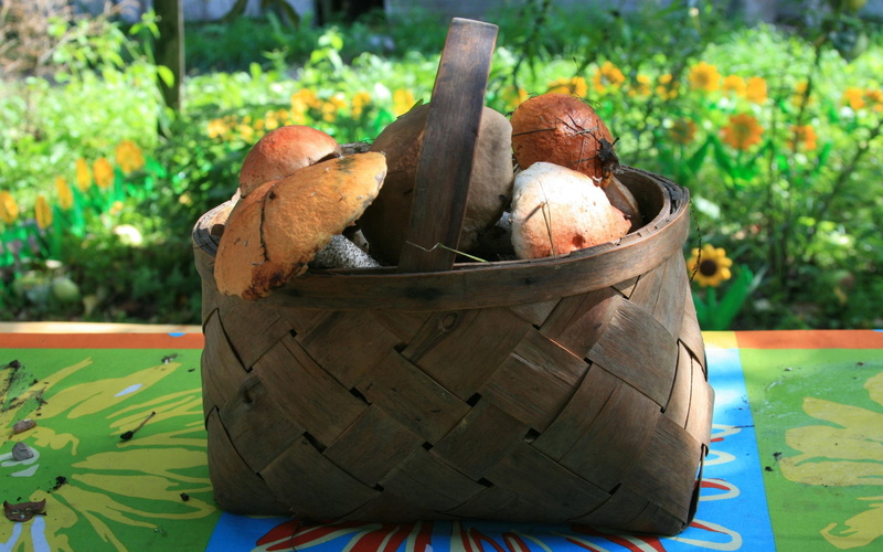 wicker, brown, photography, musrooms, 3d and abstract, food, taste, nature, mushrooms, 2K, basket