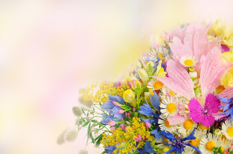 bouquet, flowers, flower, drops, lovely, yellow flowers, artistic, colorful, pretty, 2K, pink, beautiful, daisies, yellow, blue