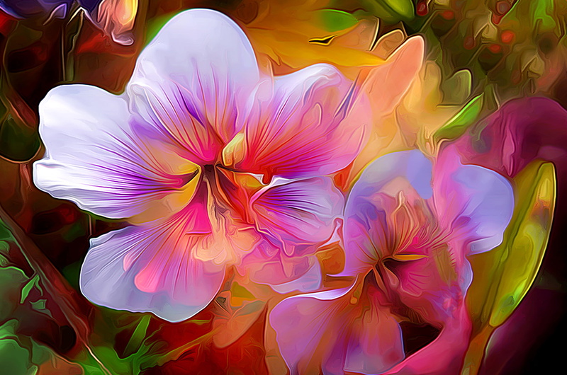 design, multi Colored, creativity, decoration, amaryllis, pink Color, computer Graphic, fragility, growth, macro, vulnerability, 1080P, petal, flowering plant