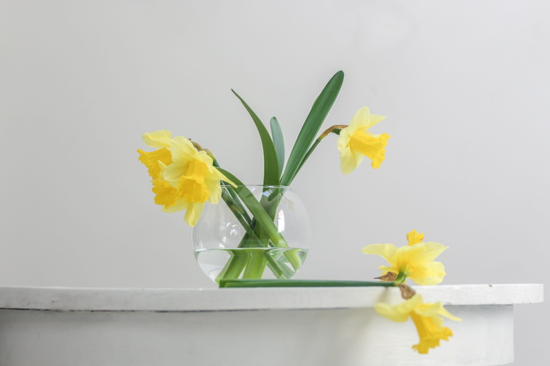 yellow, simple, flower arrangement, can, white, freshness, fragility, daffodil, flower head, iris - plant, minimal, nature, inflorescence, springtime, bunch of flowers