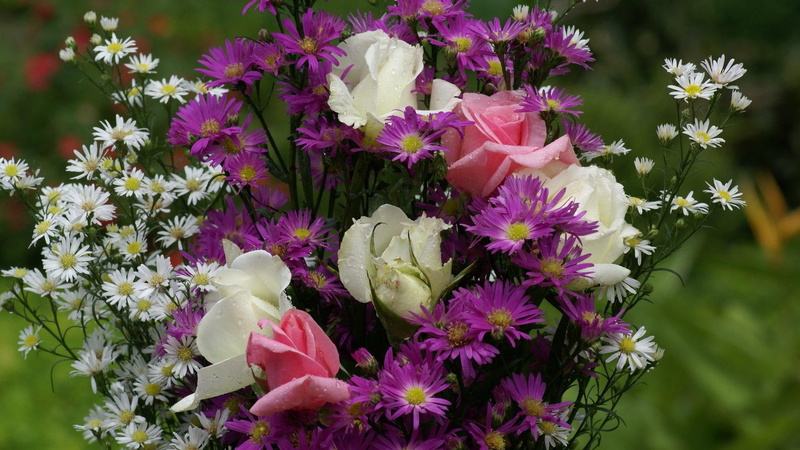nature, wild, bouquet, summer, rose, 1080P, nature and landscapes, flowers