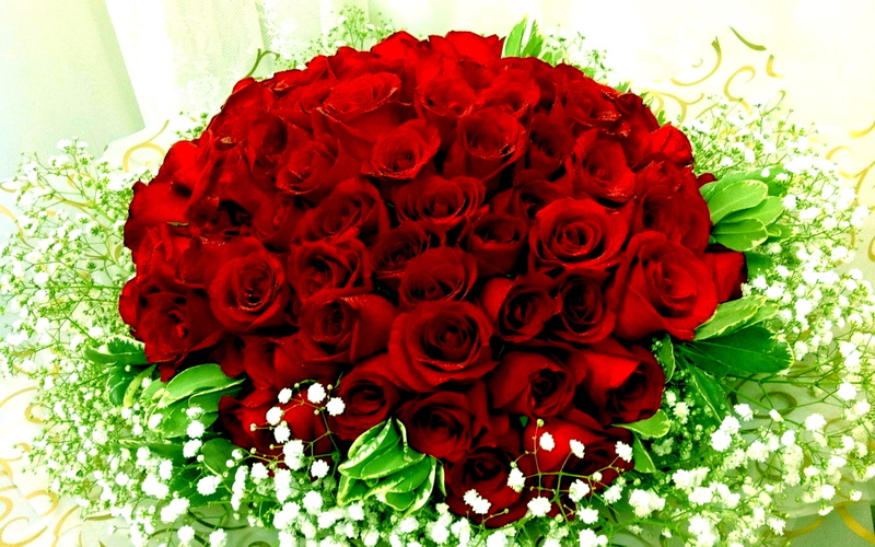 wild, 2K, mart, red, roses, bouquet, flowers