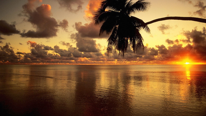 beautiful photos of nature scenery  1920x1080, tranquil scene, silhouette, sunset, orange color, cloud - sky, nature, tree, palm tree, outdoors, tranquility