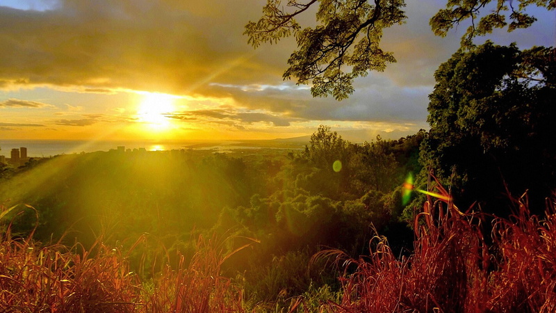 sunlight, landscape, sunbeam, environment, outdoors, sky, land, tree, sun, streaming, 1080P, beautiful photos of nature scenery  1920x1080, cloud - sky
