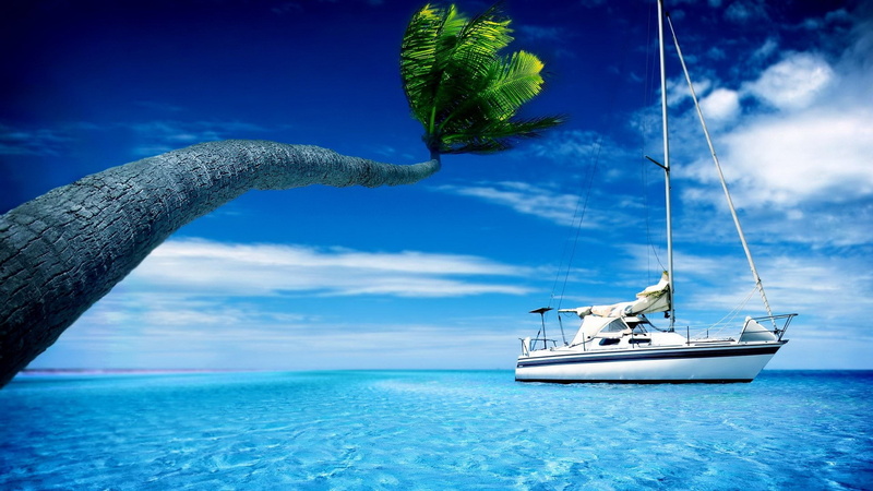 beauty in nature, tree, yacht, nautical vessel, outdoors, sailboat, blue, horizon over water, 1080P, yachting, palm tree, sky, plant, sea, luxury, tropical climate