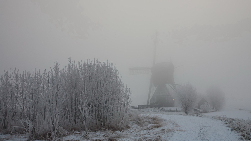 cold temperature, snowing, winter, tranquility, blizzard, land, scenics - nature, no people, nature, extreme weather, field, tranquil scene, day, 1080P