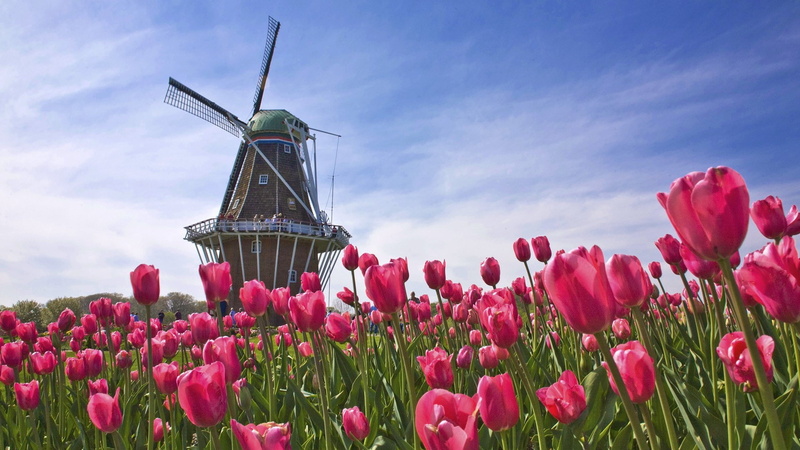 1080P, beautiful scenes of nature hd pictures 1920x1080