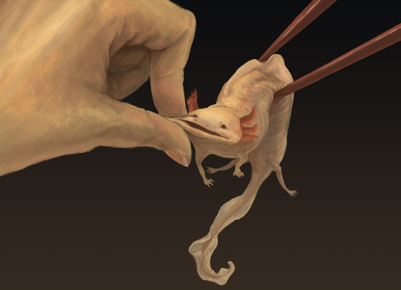 Axolotl, 1080P, Artistic, Sci Fi