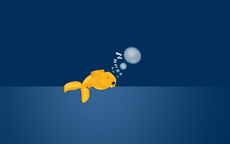illustration, sleeping, sad, gold fish, gold, fish, 2K, yellow
