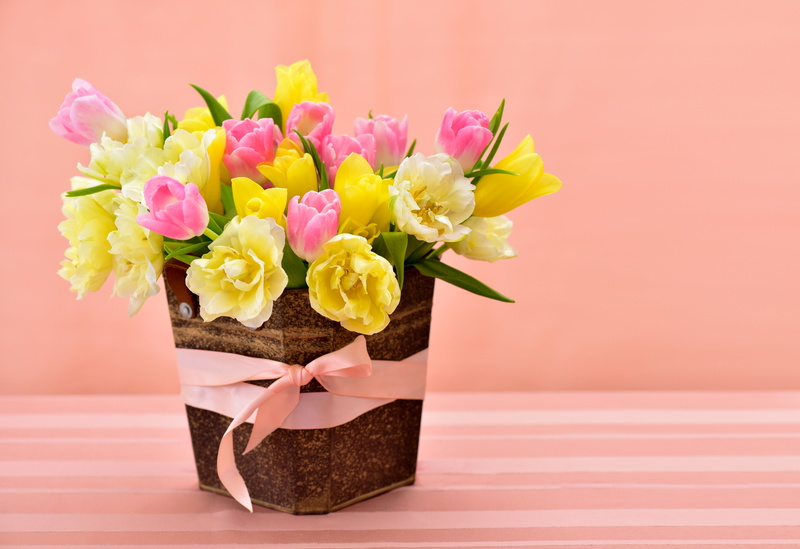 colored background, bow, indoors, Spring, nature, freshness, table, flower head, beauty in nature, bouquet, 5K, bunch of flowers, petaled, plant, pink background