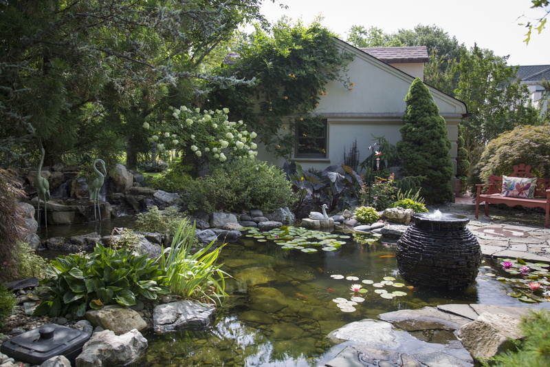 nature, water lilies, 5K, rock, koi, house, spring, building exterior, outdoors, garden, Koi Pond, fish, Koi, tree, solid, growth, Water, ornamental Garden