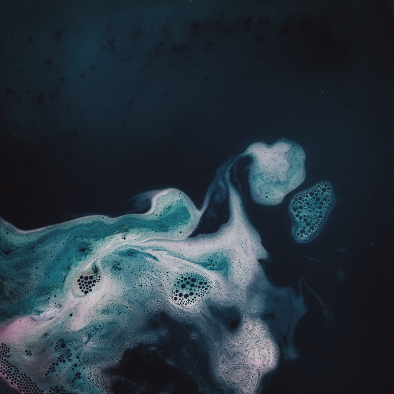 flower, bird, close-up, sea life, pattern, 5K, mineral, beauty in nature, fungus, ornament, photography, nature, water, sponge animal, shark, undersea