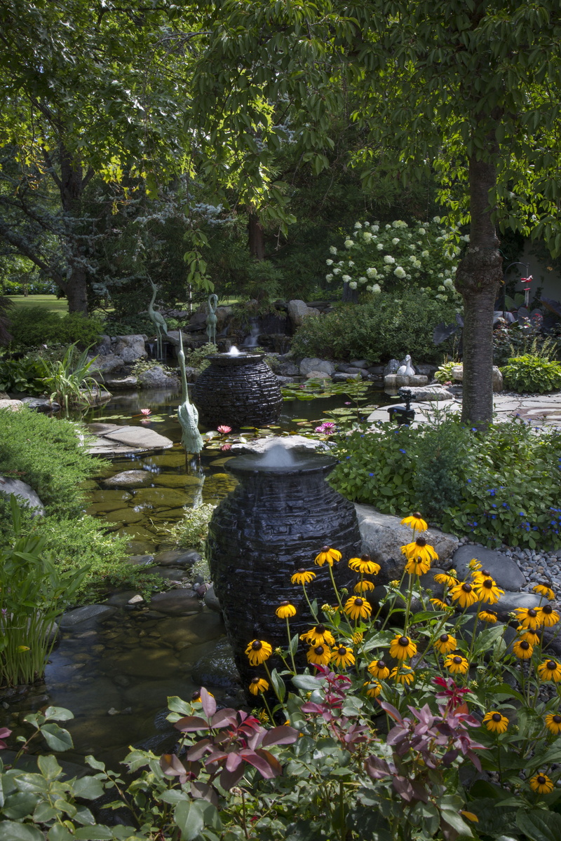 5K, fishes, garden, asian, freshwater, flowers, fish, tranquility, hobby, koi, underwater, aquatic, flowing, relaxation, pond, animal, ornamental, wildlife