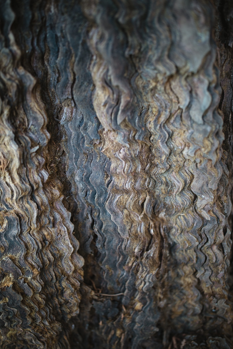 indoors, backgrounds, rug, rock, no people, lace, foam, full frame, mud, high angle view, abstract, soil, texture, coho, natural pattern, textile, pollution