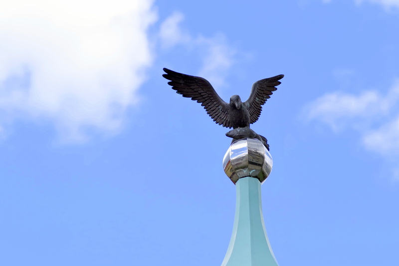 Seagull, animal themes, spread wings, one animal, 5K, fish, day, sunlight, sky, low angle view, stamp, blue, flying, animals in the wild, emblem, bird