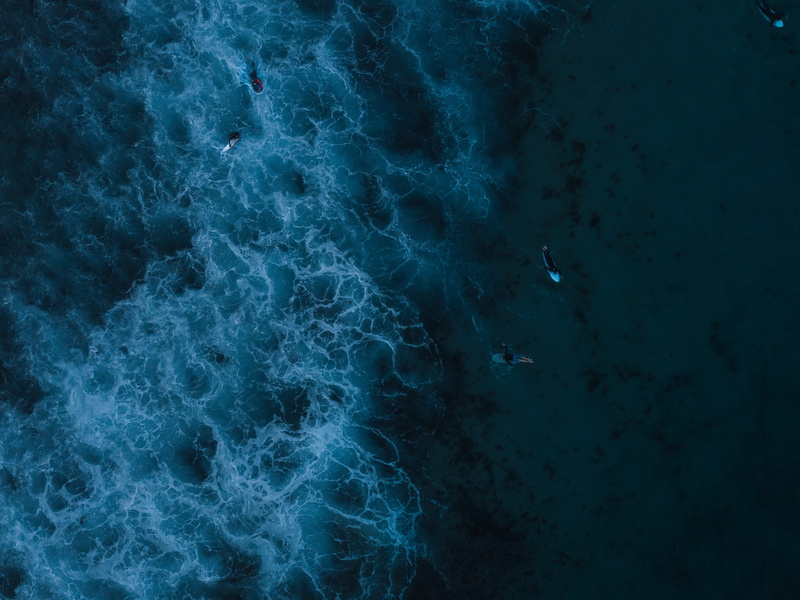 land, bondi beach, reef, animals in the wild, full frame, pattern, outdoors, animal, ornament, water, high angle view, scenery, foam, beauty in nature