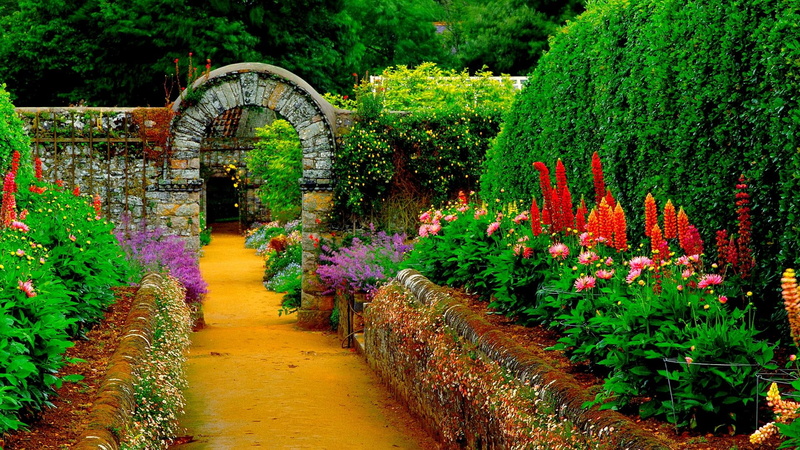 ornamental garden, legume plant, castle, country, 1080P, garden, channel islands, la seigneurie, architecture, house, dahlia, path