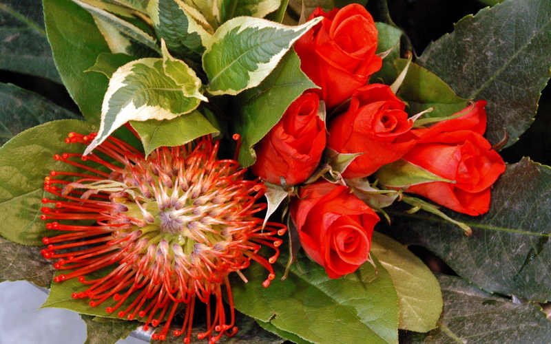 inflorescence, bouquets, plant part, flower Head, decoration, no People, flowering plant, flowers, beauty In Nature, freshness, flower, flower arrangement