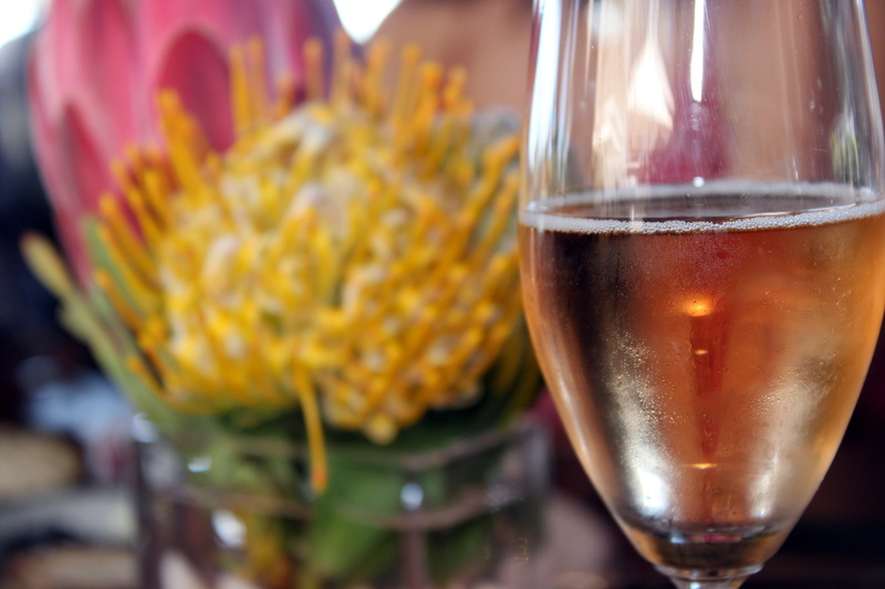 bloom, champagne, flower arrangement, protea, celebration, food and drink, red, south africa, flower, refreshment, africa, nature, focus on foreground