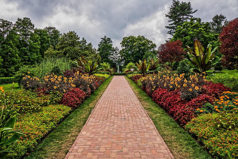 shrubs, nature, longwood, 2K, square, parks, kennett