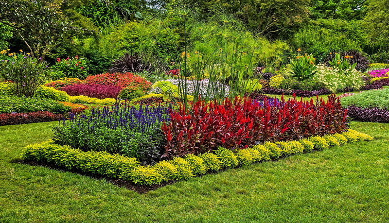 2K, lawn, Park, the bushes, grass, USA, nature, Longwood, Kennett Square, photo