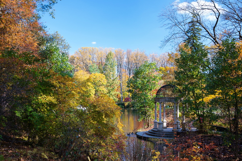 Longwood, 4K, autumn, trees, Park, USA, Kennett Square, pond