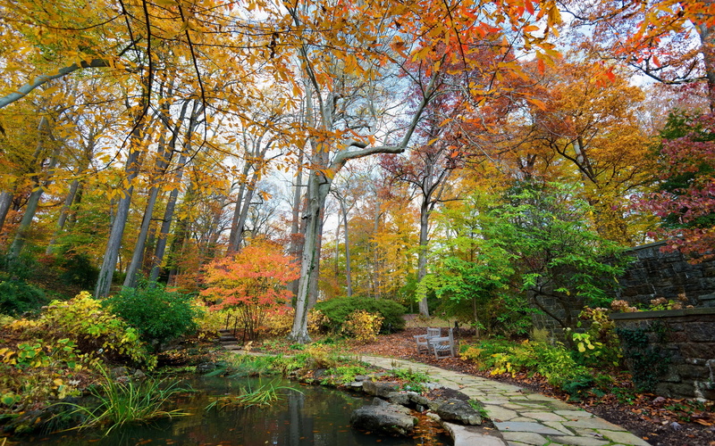 parks, 2K, trees, pond, longwood, square, kennett, usa, autumn, nature, seasons