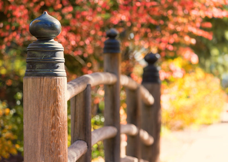 Japanese garden, handrail, Colorado, fence, Bridge, brown, fall, Denver Botanic Gardens, outdoors, autumn  leaves, shallow focus, 5K, wood - Material