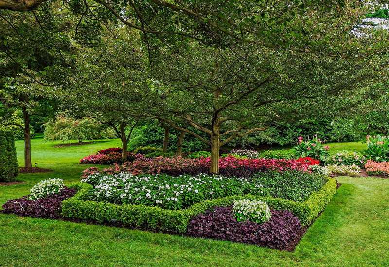 kennett, 2K, nature, nature usa, shrubs, square, longwood, grass, parks, usa