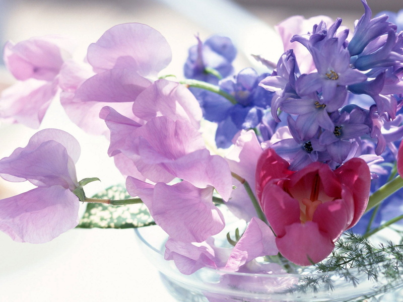 springtime, bunch of flowers, flower arrangement, 720P, blue, season, focus on foreground, growth, no People, summer, leaf, fragility, song, bouquet, softness