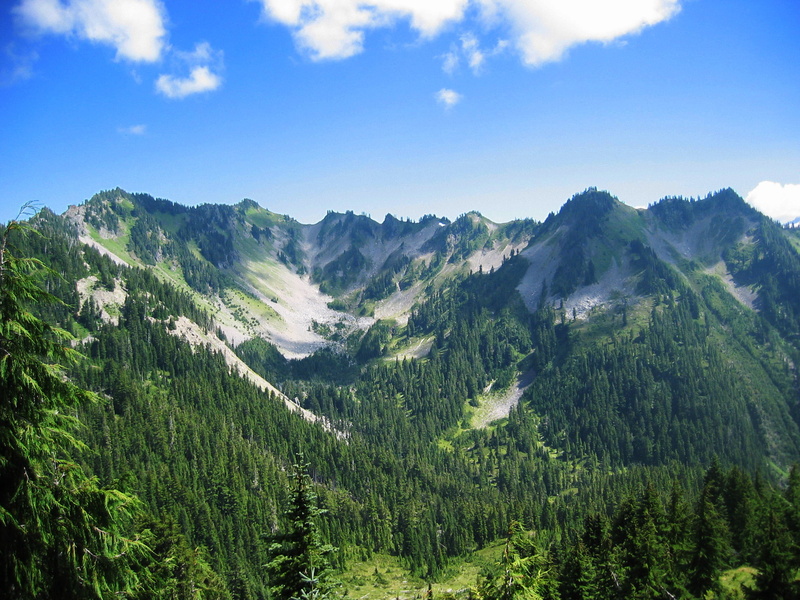 tree, landscape, summer, Park  Washington, photo, outdoors, sky, nature, scenics, national, trees, green Color, park, daytime, olympic, Olympic National Park