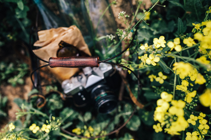 camera, Woman, hobby, freshness, photography, blooming, plant, beauty in nature, vulnerability, outdoors, sunlight, insect, flower, field, zenit, 4K, leaf