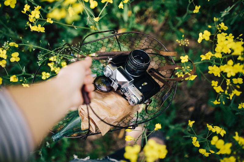 photographer, growth, rape, flower, people, spring, one man only, women, vintage, flowering plant, hobbies, Woman, camera - Photographic Equipment, camera