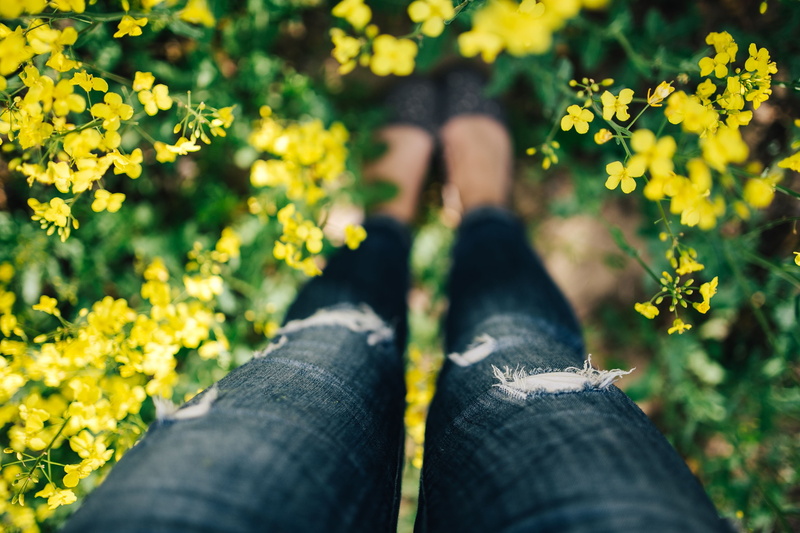 rapes, zenit, hobby, yellow, camera, rape, summer, leisure activity, real people, personal perspective, outdoors, shoe, photography, nature, park - Man Made Space