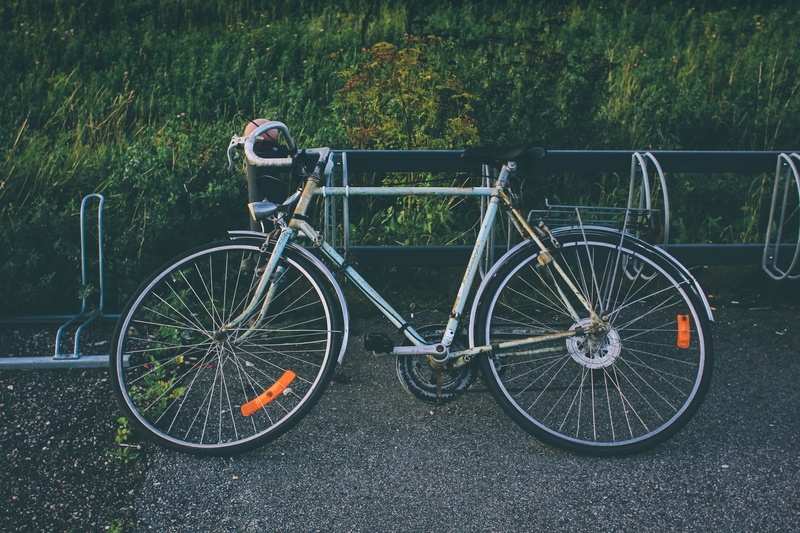 spoke, outdoors, boundary, basket, nature, travel, vehicle, grass, old, mountain bike, bike, day, pedal, transportation, tree, plant, road, vegetation