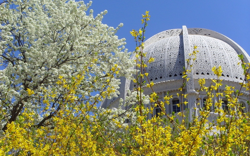 cherry blossom, blossom, nature, architecture, freshness, flower, bahai temple, travel destinations, beauty in nature, 1080P, growth, day, outdoors, built structure