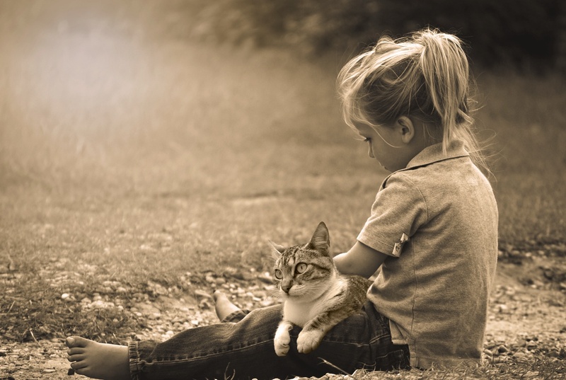 offspring, 1080P, photo, casual clothing, girls, play, fun, innocence, males, boys, small, domestic, cute, girl, dirt, child, pets, mammal, animal, love