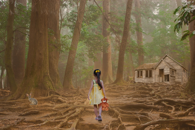 teddy bear, land, girl, adult, trees, nature trusts, fall color, outdoors, day, casual clothing, women, 4K, long hair, child, tree trunk, emotion, fantasy